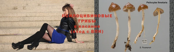 COCAINE Абаза
