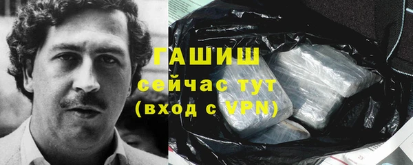 apvp Алзамай
