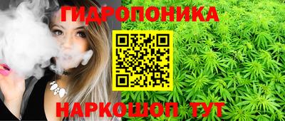 ALPHA PVP Боровичи