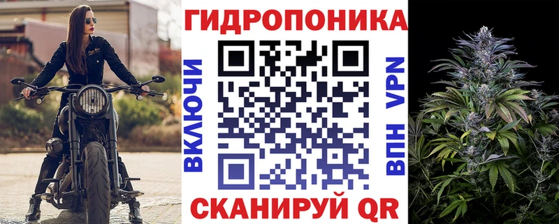 kraken tor  Лиски  Шишки марихуана сатива 